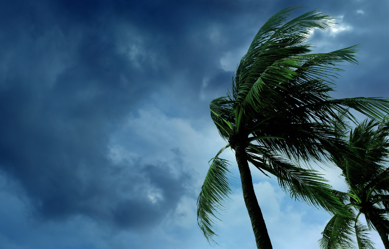 Disaster Management & Crisis Recovery